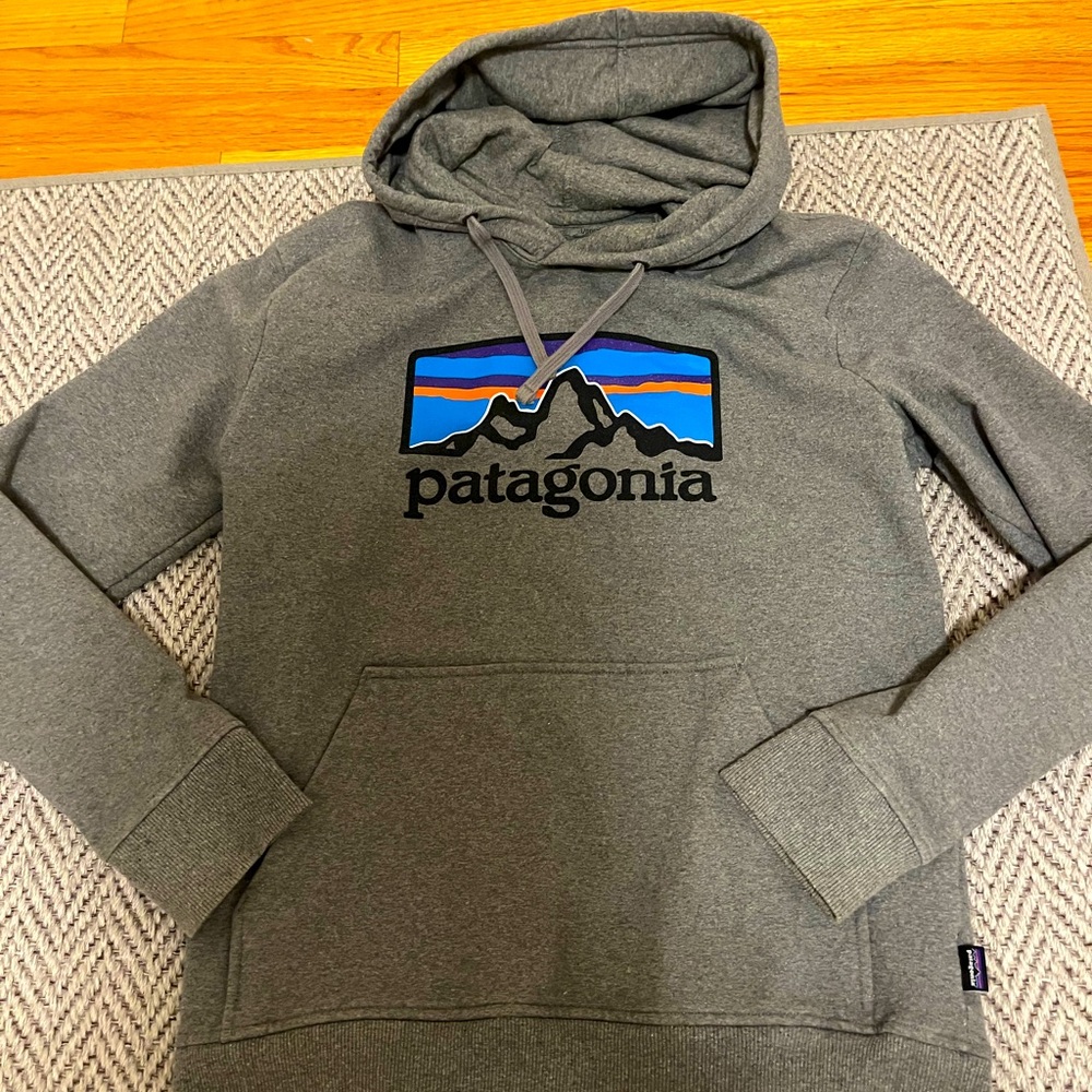 Patagonia regular fit hoodie